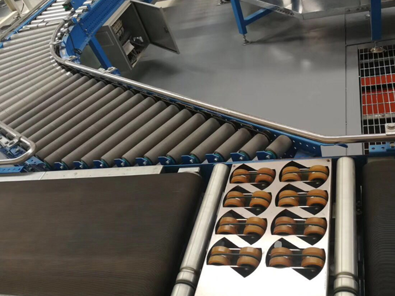 Case conveyor system